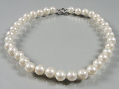 COLLIER PERLES Collier composé de perles de culture (diam: 12mm). Fermoir anneau...