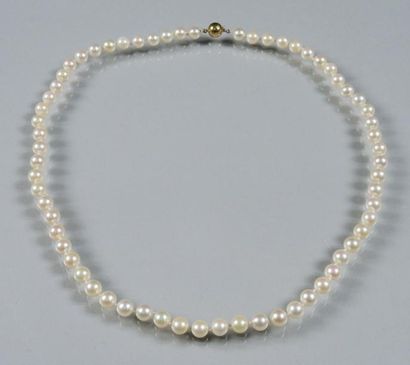 COLLIER PERLES Collier composé de perles de culture (diam: 6 à 6,5mm). Fermoir boule...
