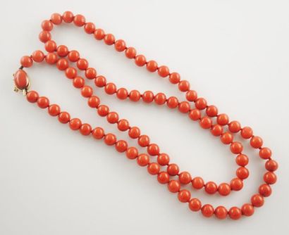 COLLIER DE PERLES DE CORAIL ET FERMOIR EN OR JAUNE Collier de perles de corail rouge....