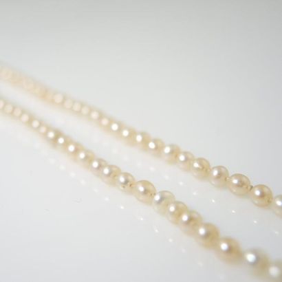 SAUTOIR EN PERLES FINES Collier formant sautoir composé majoritairement de perles...