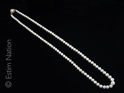 Collier de perles Long collier de perles de culture en légère chute(dia entre 5.1...