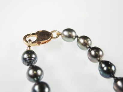 Collier Perles de Tahiti Collier en chute composé de 55 perles de Tahiti. Fermoir...