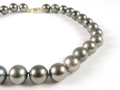 COLLIER PERLES TAHITI Collier composé de 32 perles de Tahiti (diam: 12,5/15mm, qualité...