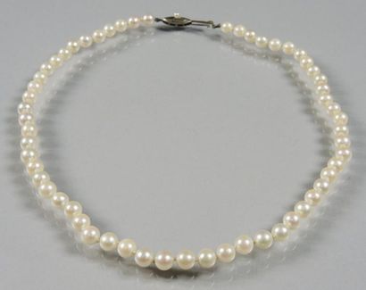 COLLIER PERLES Collier composé de perles de culture (diam: 6 à 6,5mm). Fermoir poisson...