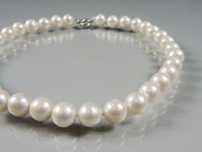 COLLIER PERLES Collier composé de perles de culture (diam: 12mm). Fermoir anneau...