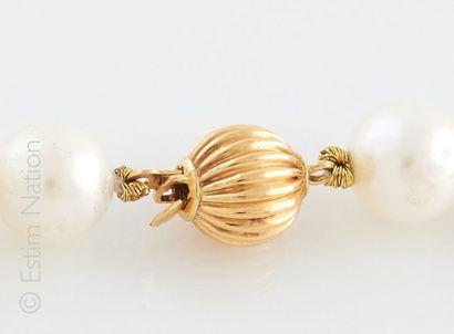 COLLIER PERLES AKOYA Long collier choker composé de perles de culture AKOYA. Fermoir...
