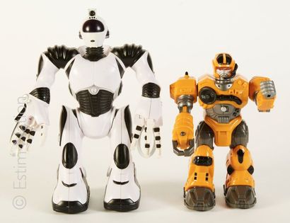 ROBOTS JOUETS Lots de deux robots pour enfants. 


Hauteur : 18 et 23 cm


(non ...