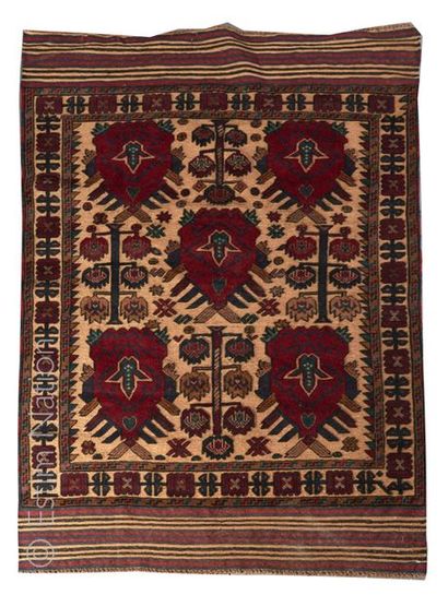 TAPIS KILIM Tapis de type Kilim en laine


Dimensions 120 x 180 cm