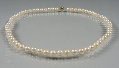 COLLIER PERLES Collier composé de perles de culture (diam: 6 à 6,5mm). Fermoir boule...