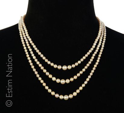 COLLIER PERLES JAPON TROIS RANGS Collier composé de trois rangs de perles de culture...