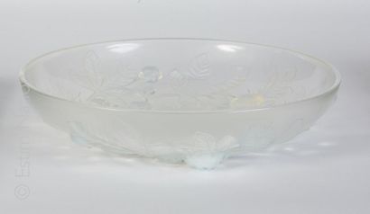 VERLYS VERLYS (XXe siècle) Coupe aux marrons Coupe en verre pressé et moulé opalescent...