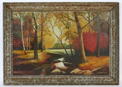 A. CAMUSET (XXème) "Forêt en automne"

Huile sur isorel, signée en bas à droite....