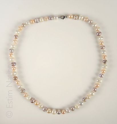 Collier de perles Long choker composé de perles de culture d'eau douce de couleurs...