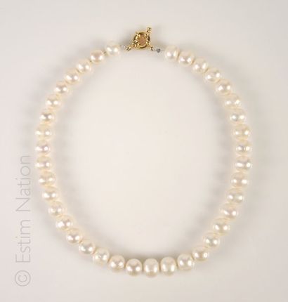 Collier de perles Collier choker composé de grosses perles de culture. Fermoir mousqueton...