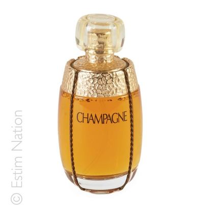 Yves Saint LAURENT "Champagne" (1993)


Flacon de parfum 50 ml


H : 10 cm