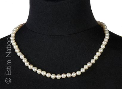 COLLIER DE PERLES AKOYA Collier composé de perles AKOYA du Japon. Fermoir en or jaune...