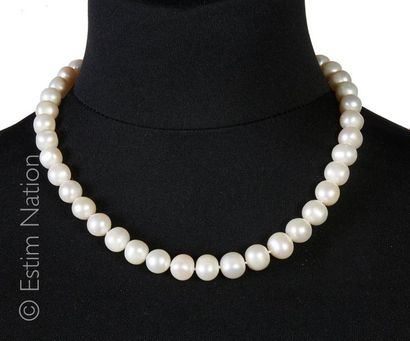 Collier de perles Important collier choker composé de perles de culture. Fermoir...