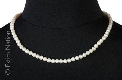 Collier de perles Collier choker composé de perles de culture. Fermoir mousqueton...