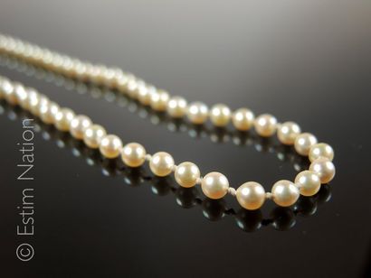 Collier de perles de culture Collier composé de petites perles de culture. Fermoir...