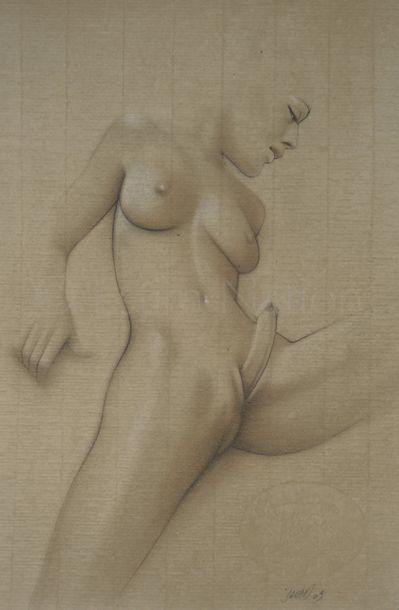 DARAN (né en 1946) "Hermaphrodite"


Dessin au crayon, estompe, rehauts blanc sur...