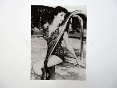 ANONYME "Liz Taylor, en maillot de bain une pièce léopard, circa 1960"


Epreuve...