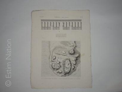 DESCRIPTION DE L'EGYPTE-BONAPARTE Thèbes,53 x 72 cm,deuxième édition chez Panckoucke...
