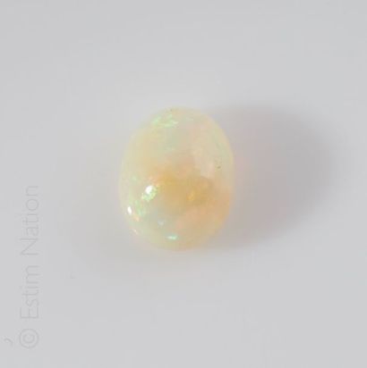 OPALE CABOCHON Opale de taille ovale cabochon. 


Poids: 1.08g.Dimensions: 13.21...