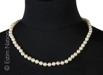 Collier de perles Collier composé de perles probablement du Japon. Fermoir en or...