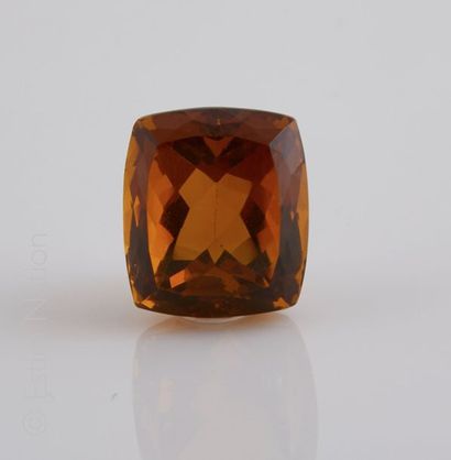 CITRINE FUMEE Citrine fumée taille coussin. 


Poids: 4.20g. Dimensions: 16.25 x...