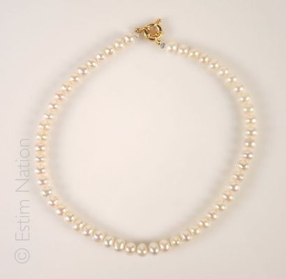 Collier de perles Collier choker composé de perles de culture plates. Fermoir mousqueton...