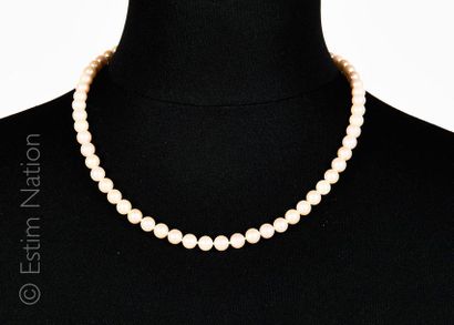 Collier de perles Collier choker composé d'environ 55 perles de culture. Fermoir...