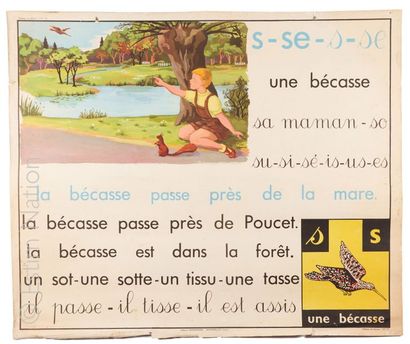 AFFICHES SCOLAIRES Ensemble de 9 affiches scolaires des Editions ROSSIGNOL Montmorillon...