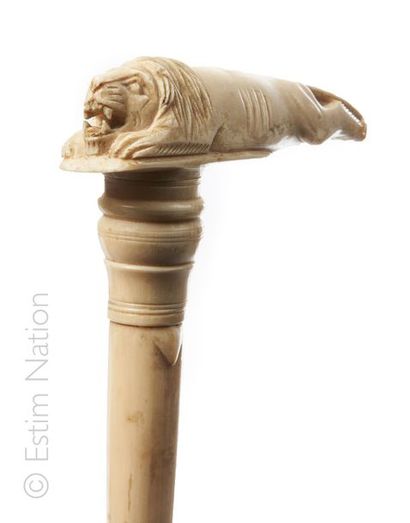 Canne Canne indienne en ivoire sculpté, le pommeau à décor de lion couché
Long. 71,5...