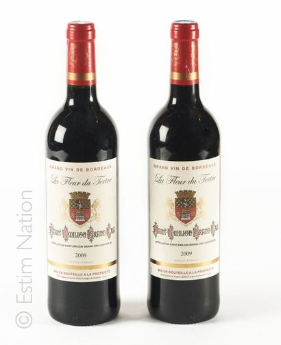 VINS 2 bouteilles LA FLEUR DU TERTRE 2009 Saint-Emilion Grand Cru (étiquettes et...