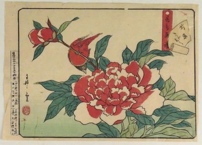 JAPON Deux estampes japonaises en couleurs représentant des fleurs
Portent un cachet...