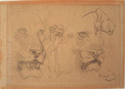 Rosa BONHEUR (1822-1899) "études de lionnes, lionceau"
Dessin au crayon, porte le...