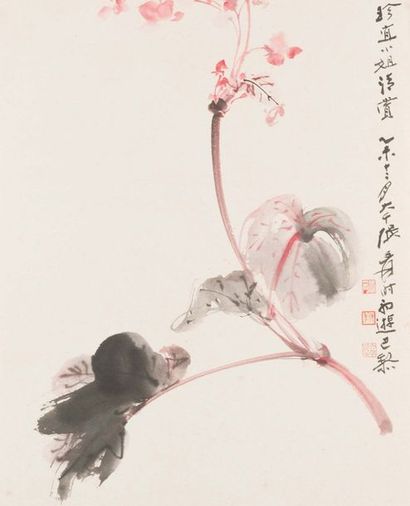 Zhang Yuan, DA QIAN JU SHI (1899 - 1983) 
Branche de Bégonia Aquarelle sur papier
L'oeuvre...