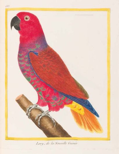 BUFFON. - MARTINET. [Natural history of birds]. Collection of 1008 colour plates,...