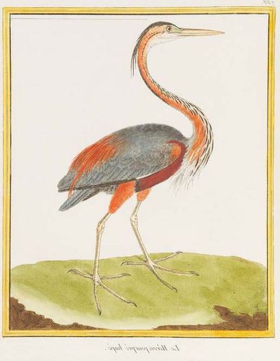 BUFFON. - MARTINET. [Natural history of birds]. Collection of 1008 colour plates,...
