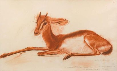 Alexandre Yevgenievich IACOVLEFF (1887-1938) 
Gazelle
Pastel et fusain sur papier....