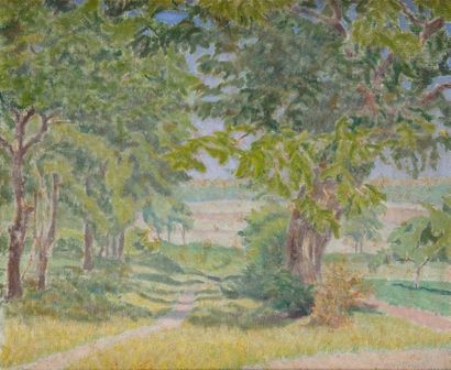 Charles LACOSTE (1870-1959) 
Paysage d'été
Huile sur toile rentoilée. Signé en bas...