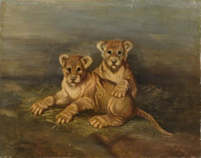 Carl Fredrik KIOERBOE (1799-1876) 
Les lionceaux
Huile sur toile. Signé en bas à...