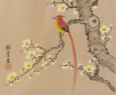 null Suite de six estampes japonaise à décor d'oiseaux branchés et de végétaux. Japon...