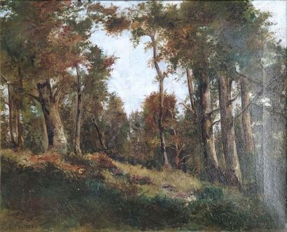 ÉCOLE FRANCAISE. XIXème siècle Sous-bois de Castillon
Huile sur toile
54 x 65 cm

*...