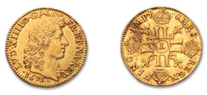 null Louis d'or à la tête nue, 1er type. 1675. Bayonne. 6,70 g.
A/ Tête nue du roi...