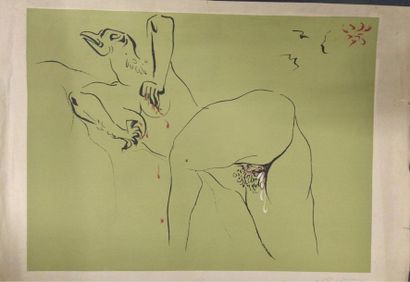 André MASSON (1896-1987) Nu à la tête d’aigle

Lithographie. Signé en bas à droite

52x72,5...