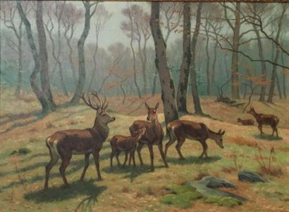 Georges-Frédéric Rötig (1873-1961) Cerf, biches et faon-1960

Huile sur toile. Signé...