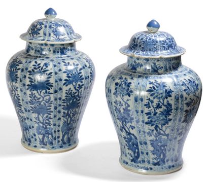 Pair of covered blue porcelain vase on white...