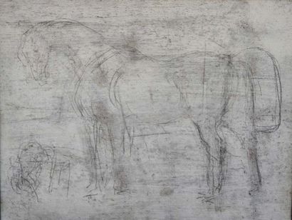 René Pierre PRINCETEAU (Libourne 1843 - Fronsac 1914) Etude de cheval
Crayon noir...