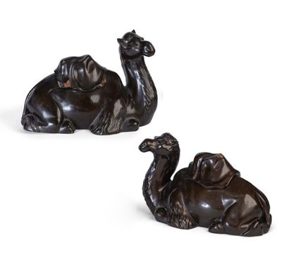 Two dromedaries at rest in black dry lacquer...